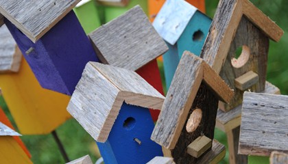 Birdhouses - Bird's the Word